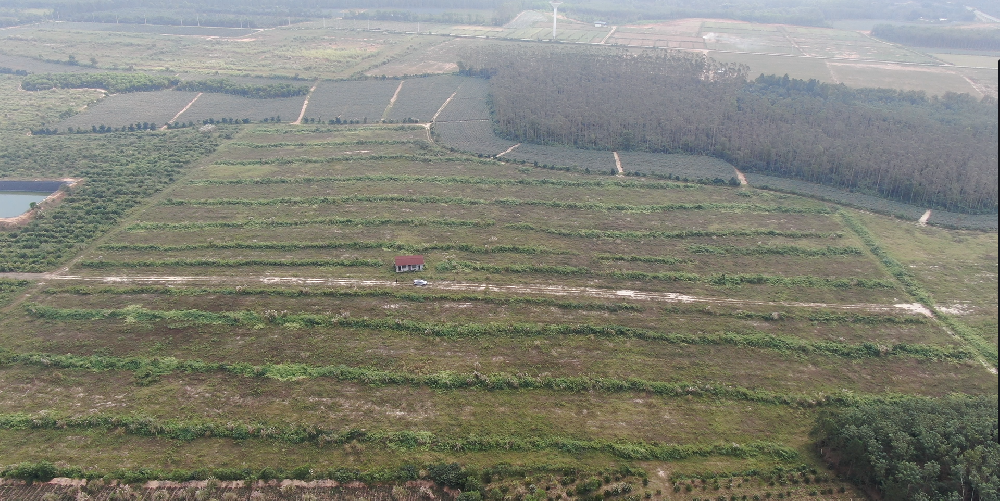 远灏农牧中兴镇年出栏2万头生猪养殖项目环境影响报告书报批前公示（第三次公示）